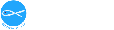 Società San Vincenzo De Paoli Lecco